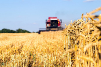 Фотография к новости: Все хозяйства должны иметь электронную карту полей – Шукеев о цифровизации АПК