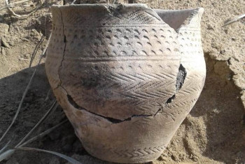 Фотография к новости: Глиняный горшок эпохи бронзы нашёл сельский стоматолог в Павлодарской области