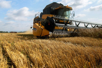 Фотография к новости: В Казахстане сократят сроки рассмотрения заявок фермеров по субсидированию 