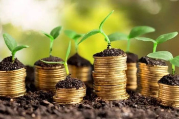 Прибыль инвестфондов за год упала более чем в пять раз – исследование