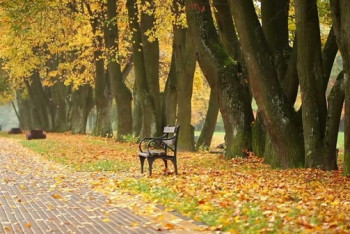Фотография к новости: Погода без осадков сохранится на большей части Казахстана 30 сентября