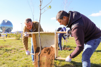 Фотография к новости: Депутаты высадили более 350 деревьев в Астане
