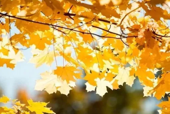 Фотография к новости: Тёплые выходные в Казахстане обещают синоптики 