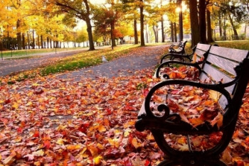 Фотография к новости: Погода без осадков ожидается на большей части Казахстана 28 сентября