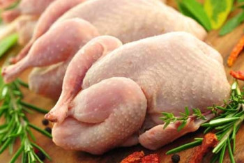 Фотография к новости: Ограничение поставок куриного мяса из СКО в Россию опровергли ветеринары