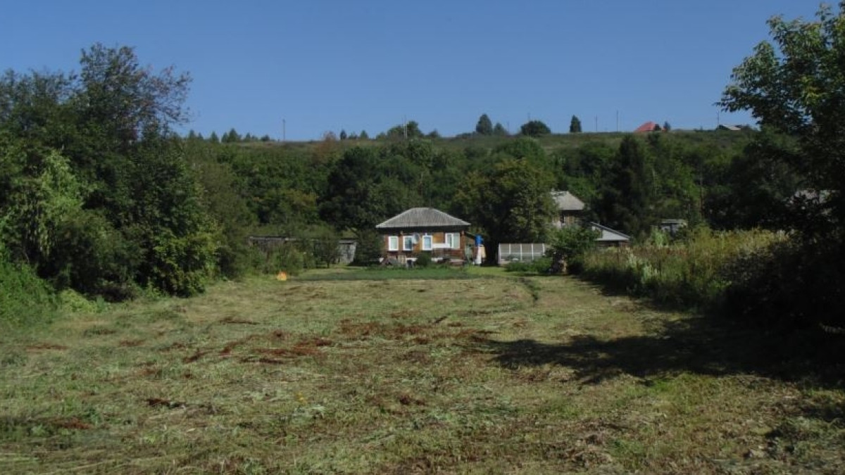 из открытых источников