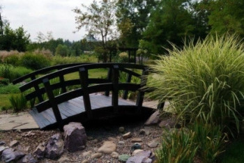 Проект реконструкции Главного ботанического сада поддержали алматинцы