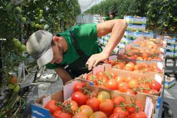 Фотография к новости: "Цеснабанк" окажет поддержку сельхозсектору 