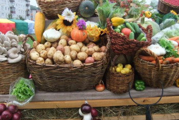 Фотография к новости: Цены ниже рыночных: фермеры из ВКО привезут продукты на ярмарку в Астане