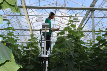 Центр обучения агрономов создадут в Казахстане