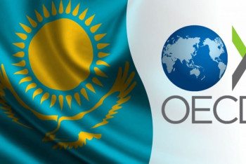 Казахстан впервые принял участие в заседании Комитета содействия развитию ОЭСР