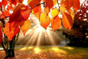 Фотография к новости: Потепление ожидается в Астане в ближайшие три дня 