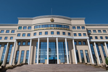 Казахстанцы просят МИД вернуть их родственников из горячих точек 