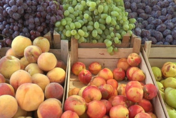 Россельхознадзор не пропустил более 20 тонн фруктов из Казахстана