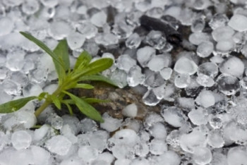 Фотография к новости: Град обещают синоптики в четырёх областях Казахстана 22 сентября