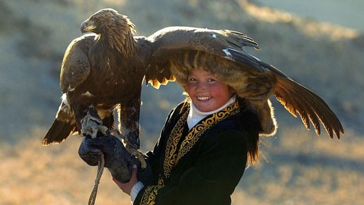 из открытых источников