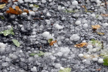 Фотография к новости: Град и пыльные бури ожидаются в Казахстане 21 сентября