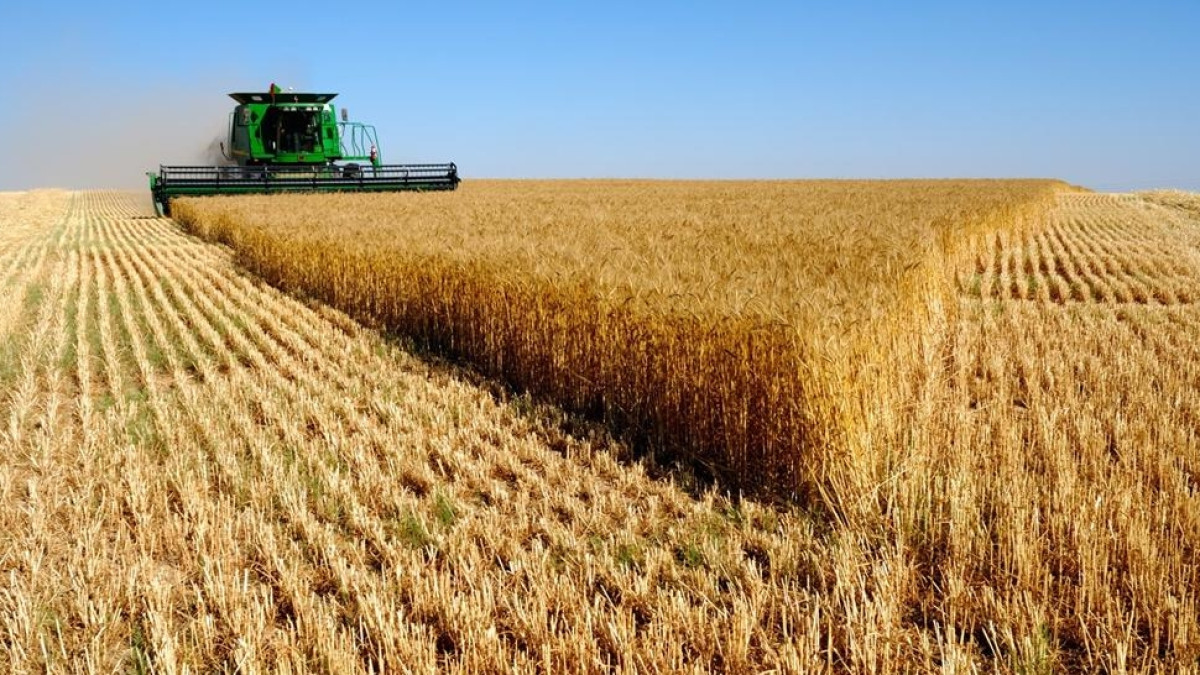 из открытых источников