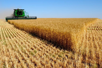 Фотография к новости: Малик Мурзалин поручил контролировать эффективное использование сельхозземель 