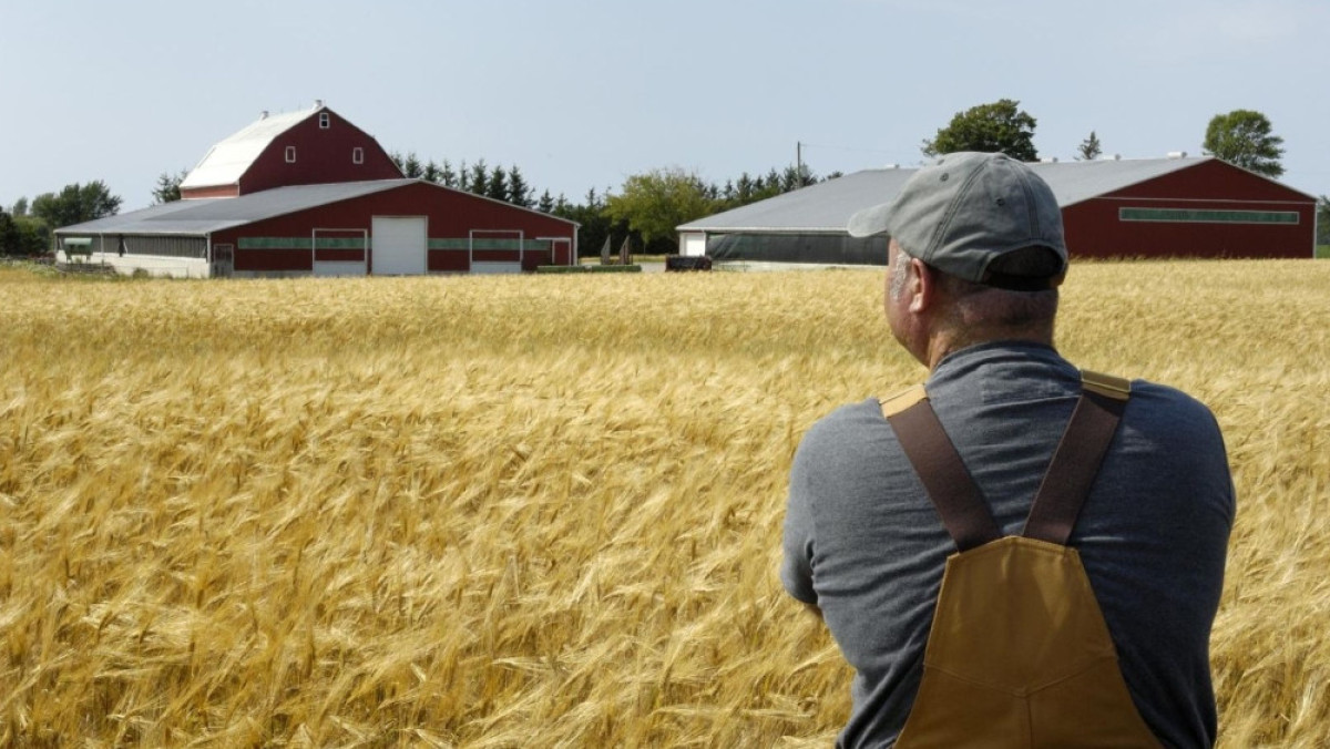 из открытых источников