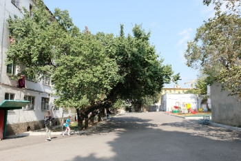 Фотография к новости: У нас никогда не работал - МВД о виновнике скандала с земельным участком в Алматы 