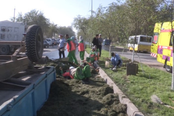 Самосвал снёс трактор с прицепом в Шымкенте, есть пострадавшие