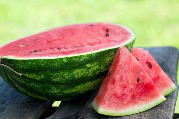 Фотография к новости: Рекорд по сбору бахчевых установили в Туркестанской области