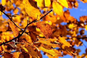 Фотография к новости: Погода без осадков ожидается в Казахстане 17 сентября