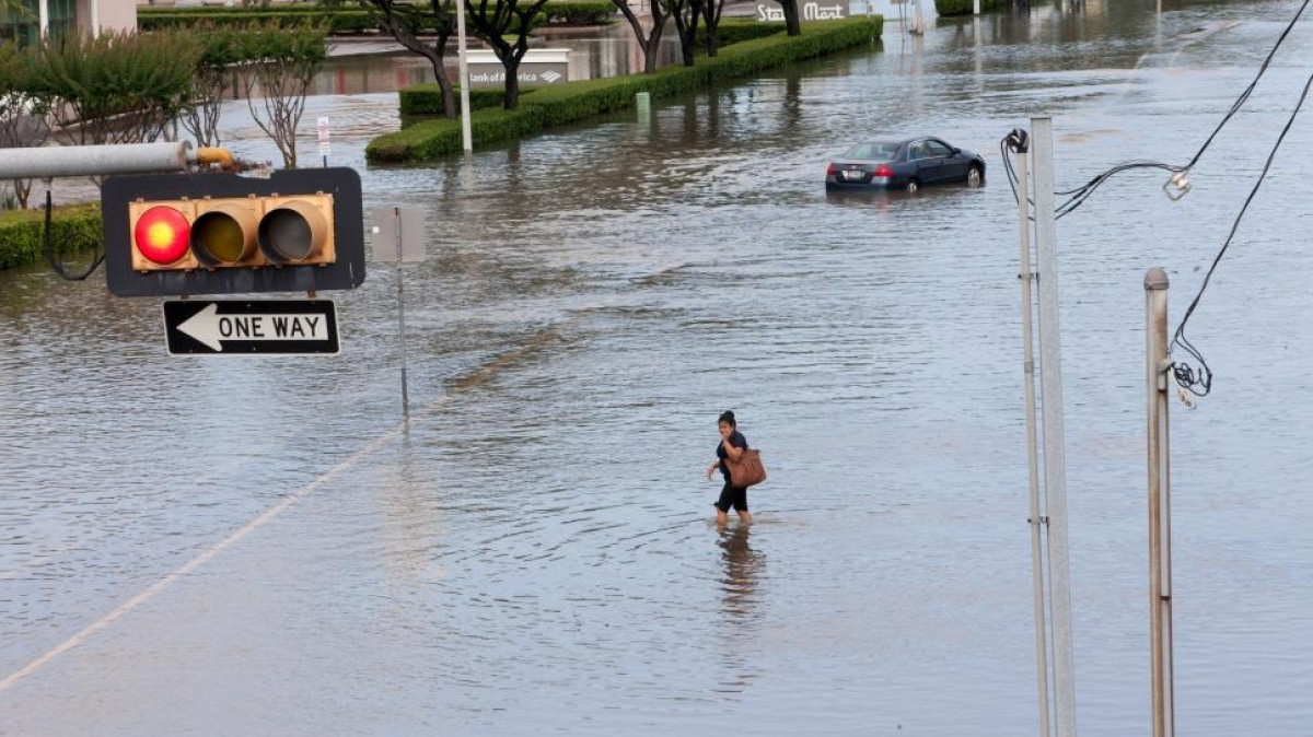 из открытых источников