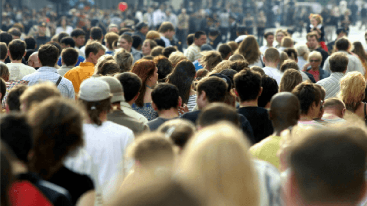 Из открытого источника 