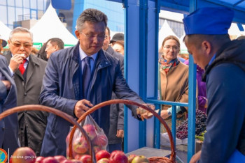 Ярмарку сельхозпродукции и ряд объектов посетил новый аким Астаны