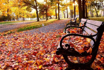 Фотография к новости: Погода без осадков сохраняется на большей части страны 15 сентября 