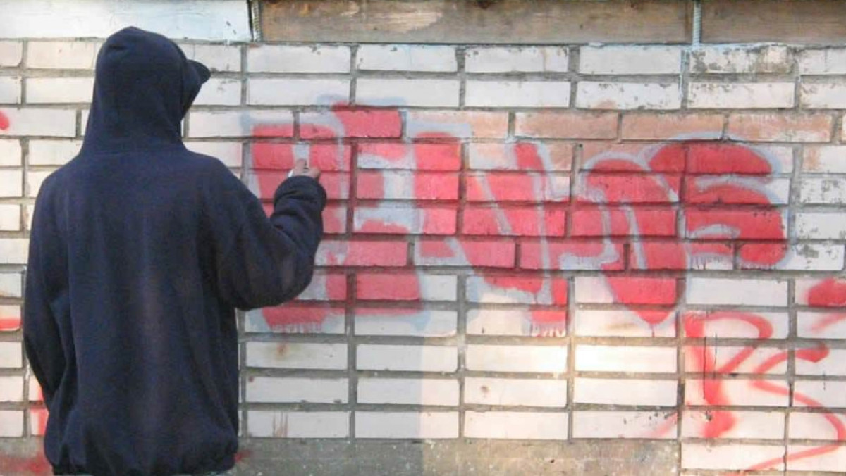 из открытых источников