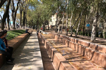 Больше 1000 деревьев появятся на проспекте Абая в Алматы