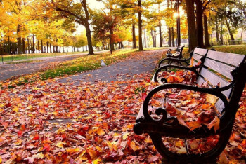 Фотография к новости: Погода без осадков ожидает казахстанцев на выходных 