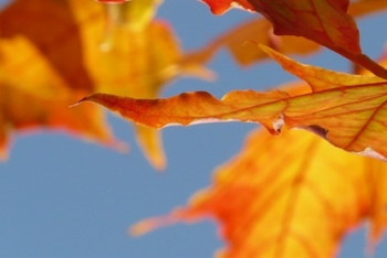 Фотография к новости: Погода без осадков сохранится на большей части страны 14 сентября 