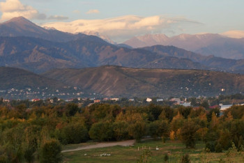 Расследование по факту незаконной передачи земель из лесного фонда начато в Талдыкоргане