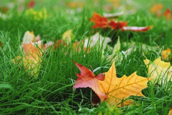 Фотография к новости: Погода без осадков сохранится на большей части страны 13 сентября 