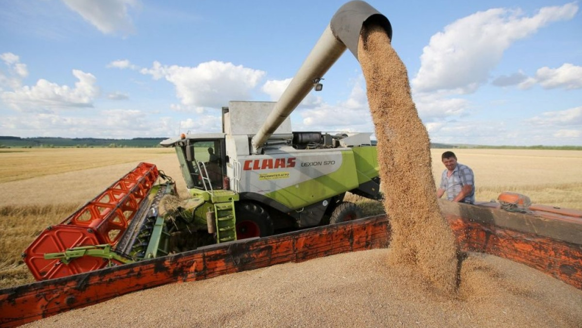 Иллюстративное 