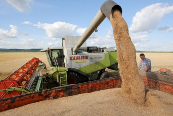 Фотография к новости: Регионы Казахстана намолотили 6,5 млн тонн зерна