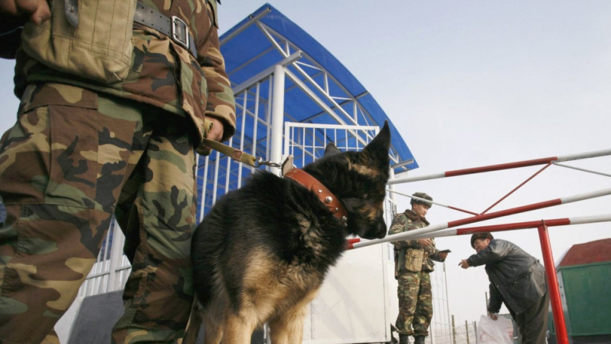 из открытых источников  