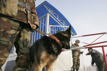 Фотография к новости: Мажилис одобрил ратификацию договора о демаркации казахстанско-кыргызской госграницы