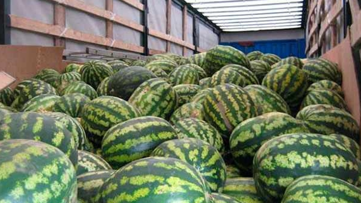 Из открытых источников 