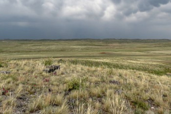 Шестеро пропавших актюбинцев найдены в Кызылординской области