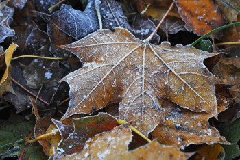 Фотография к новости: Штормовое предупреждение объявлено в Астане и ряде областей Казахстана