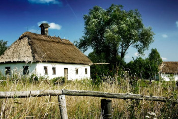 За ценной практикой студенты медфакультетов поедут в сёла Акмолинской области