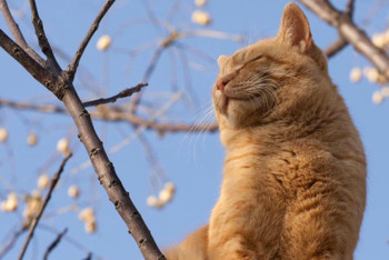 Фотография к новости: Погода без осадков сохранится в большинстве областей Казахстана 9 сентября