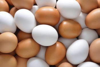 На казахстанских птицеводов завели уголовные дела из-за высокой стоимости яиц