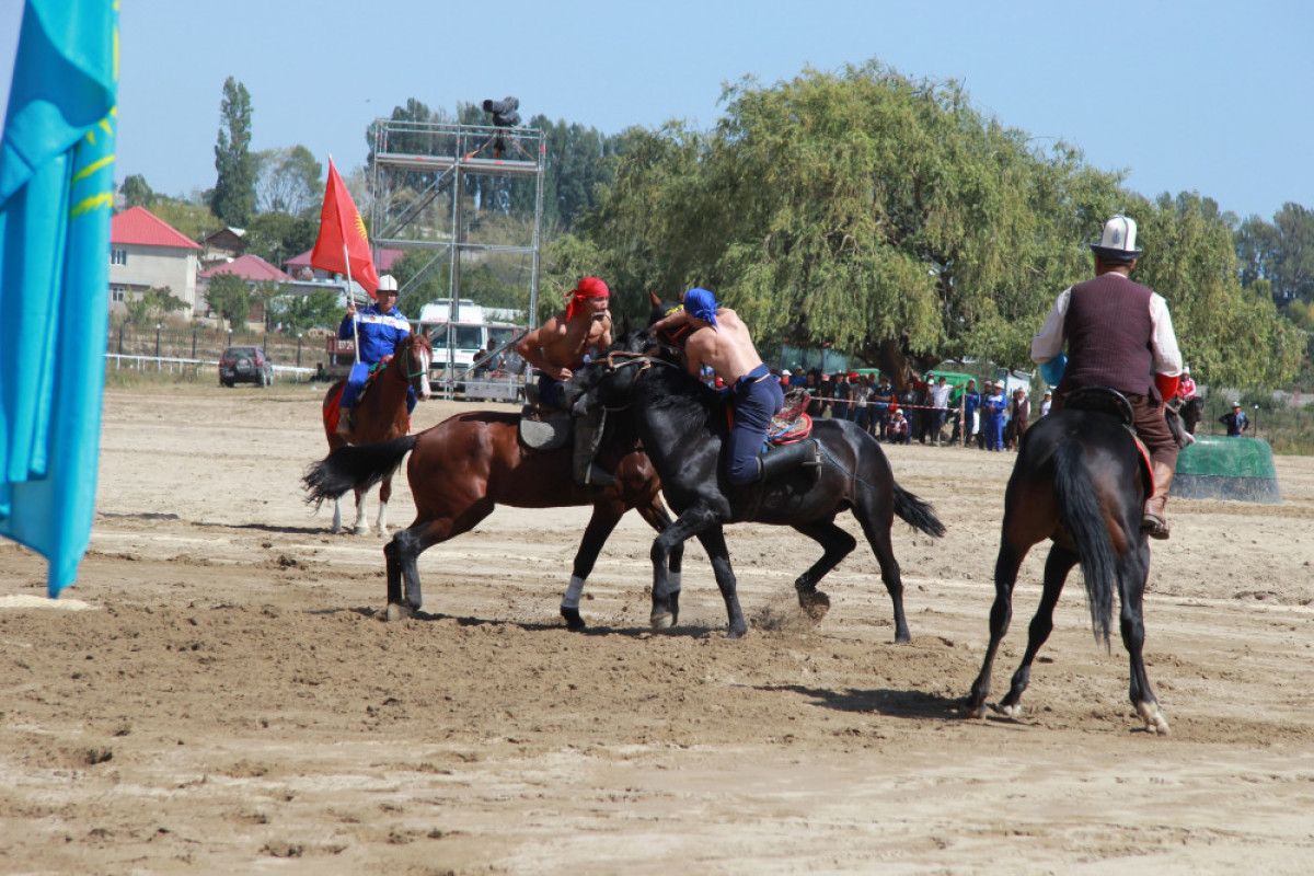 Двадцать медалей завоевала сборная Казахстана на Всемирных играх кочевников