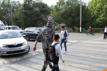 Фотография к новости: Студент в костюме зебры переводит детей через "зебру" в ЗКО